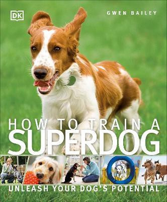 How To Train A Superdog(English, Paperback, Bailey Gwen)