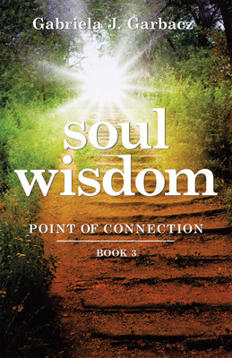 Soul Wisdom Point of Connection Book 3(Paperback, Gabriela J. Garbacz)