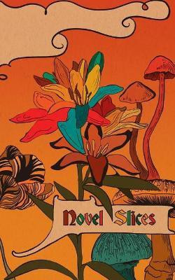 Novel Slices Issue 3(English, Paperback, unknown)