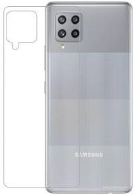 RUNEECH Back Screen Guard for SAMSUNG GALAXY A22(Pack of 1)