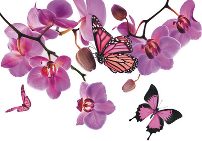 Varadvinayak 59 cm Art of butterflies Self Adhesive Sticker(Pack of 1)