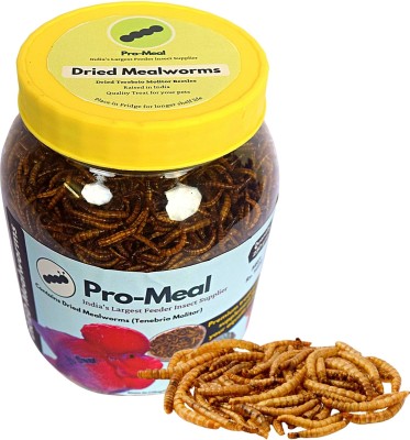 Promeal Premium Dried MEALWORMS | High Protein Food for Aquarium Fishes Like Arowana, Flowerhorn and Birds, Reptiles, Monkeys and Other Pets (250g, 7500+ larvae) Mealworm 0.25 kg Dry Adult Fish Food