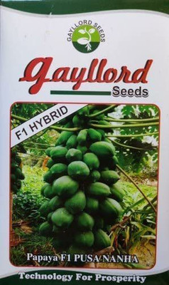 STOKIYA STOKIYA gayllord pusa nanha/dwarf papaya f1 hybrid variety seed 700 seeds Seed(700 per packet)