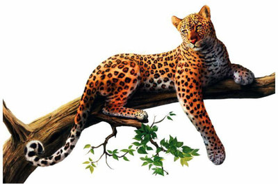Varadvinayak 59 cm Leopard on tree branch Self Adhesive Sticker(Pack of 1)