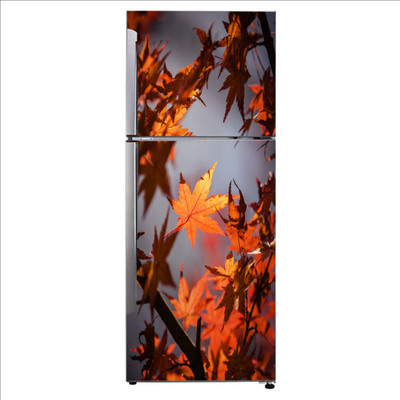 sp decals 60 cm Decorative autumn tree leaves with blur background Extra Large Fridge Sticker Self Adhesive Sticker(Pack of 1)