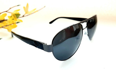 Porus Club Oval, Aviator Sunglasses(For Men, Black)