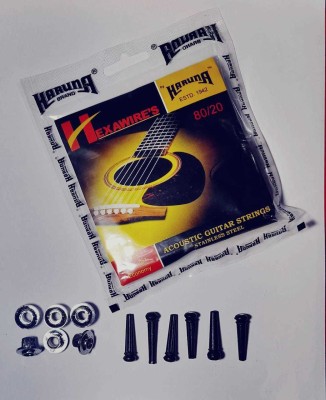 KARUNA Acoustic 1SET KARUUNA STRING BRIDGE PIN FILLER Guitar String(6 Strings)