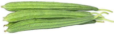 XOLDAA FI QUALITY RIDGE GOURD Seed(15 per packet)
