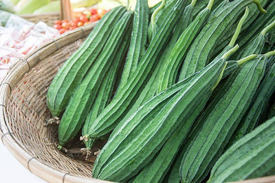 XOLDAA FI QUALITY RIDGE GOURD Seed(21 per packet)