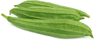XOLDAA FI QUALITY RIDGE GOURD Seed(20 per packet)