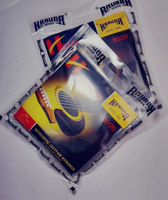 KARUNA Acoustic 2 SET OF KARUN STRINGGA Guitar String(12 Strings)