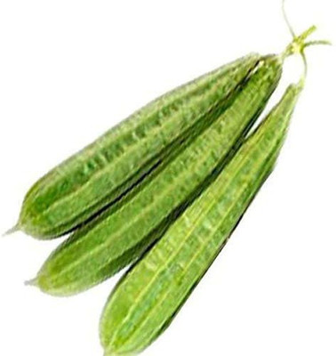 Aywal Dhari Tori Seed(275 per packet)