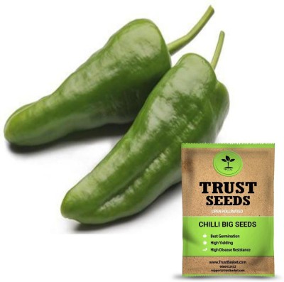 TrustBasket Chilli Big Seeds (Op) Seed(50 g)