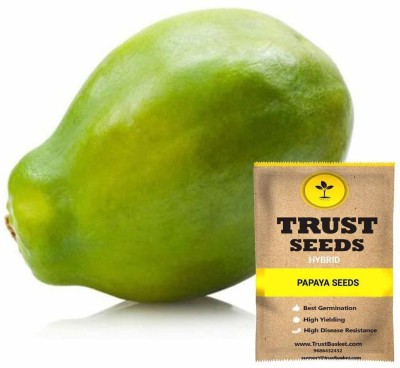 TrustBasket Papaya Seeds (Hybrid) Seed(50 g)