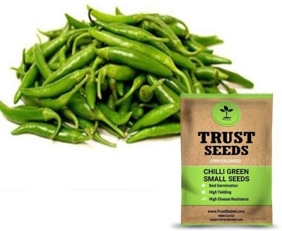 TrustBasket Chilli Green Small Seeds (Op) Seed(10 g)