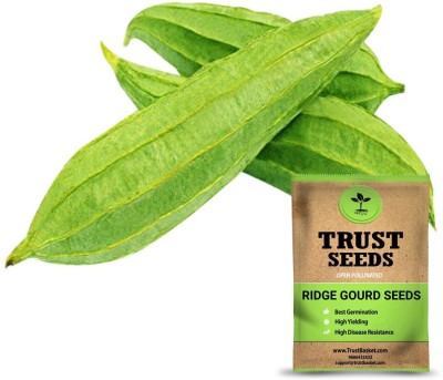 TrustBasket Ridge Gourd Seeds (Op) Seed(10 g)