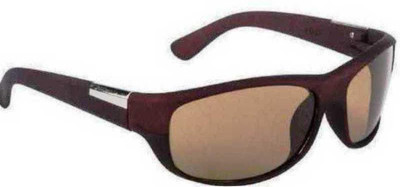 AMEEQ Sports Sunglasses(For Men & Women, Brown)
