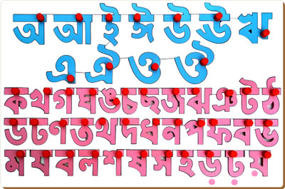 Little Genius Bangla Vowels and Consonants Board(Multicolor)