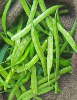 Paudha Organic Clusterbeans (guar) Seed(50 per packet)
