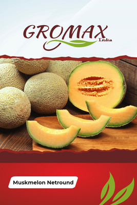 Gromax India Muskmelon Netround Seed(40 per packet)