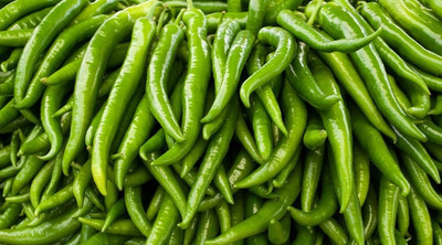 Paudha Organic Green Chilli F1 Seed(35 per packet)