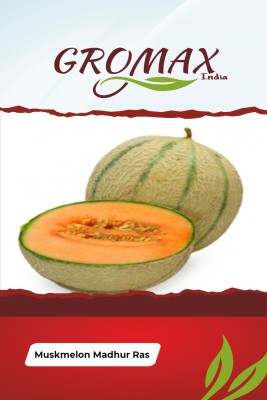 Gromax India Muskmelon Madhur Ras Seed(40 per packet)