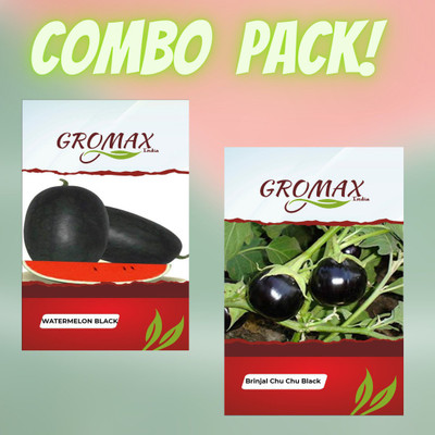 Gromax India Watermelon Black & Brinjal Chu Chu Black Seed(40 per packet)