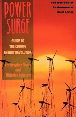 Power Surge(English, Paperback, Flavin Christopher)