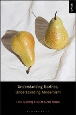 Understanding Barthes, Understanding Modernism(English, Hardcover, unknown)