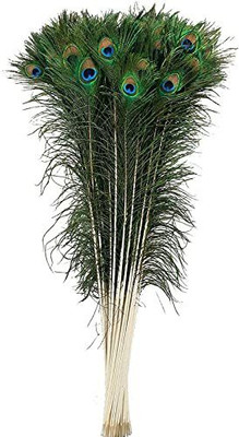 Firmus Pack of 10 Decorative Feathers(22-25 Inches Peacock Feather)