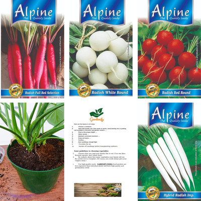 ALPINE HYBRID SEEDS LONG RED RADISH , LONG RADISH , RADISH WHITE ROUND , RADISH RED ROUND Seed(50 per packet)
