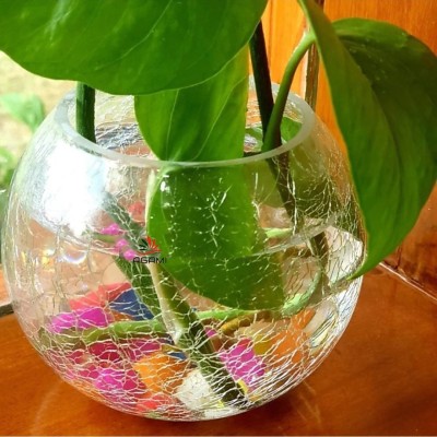 AGAMI crackle design Mercury Glass Clear Round Bowl, Rose Bowl Pot Vase for Flowers and plants, Home decoration, drawing room, office, Hotel decoration, Perfect for Marriage and house warming gifts Glass Vase(5.5 inch, Clear)
