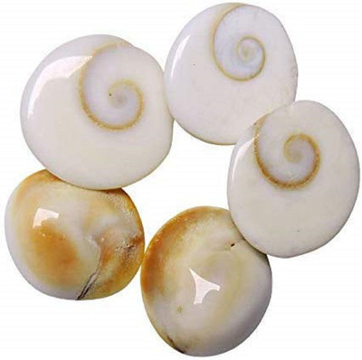 Yuvi Shoppe Gomati Chakra For Peace and Prosperity- 5 PCs Set Stoneware Yantra(Pack of 5)