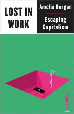 Lost in Work(English, Paperback, Horgan Amelia)