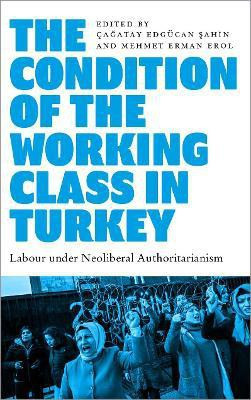 The Condition of the Working Class in Turkey(English, Paperback, unknown)
