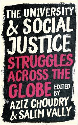 The University and Social Justice(English, Paperback, unknown)