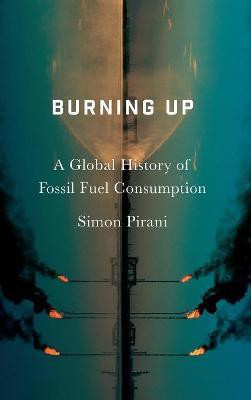 Burning Up(English, Hardcover, Pirani Simon)