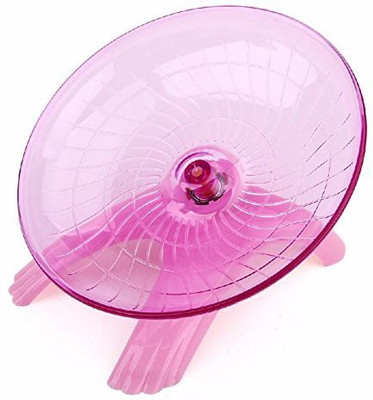 Sage Square Plastic Tough Toy For Hamster