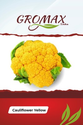 Gromax India Cauliflower Yellow Seed(40 per packet)