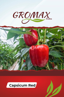 Gromax India Capsicum Red Seed(40 per packet)