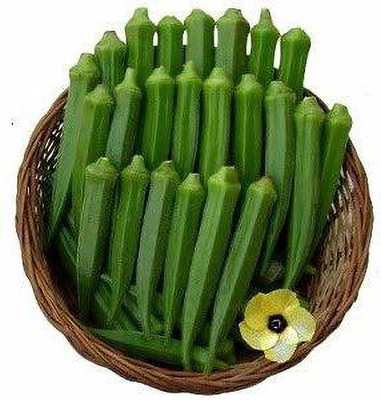 EVY lady finger seeds Seed(1 per packet)