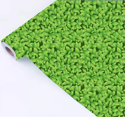 ASA PRINT SOLUTION Floral & Botanical Green Wallpaper(228 cm x 40 cm)