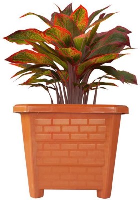 TrustBasket EarthBox Brown 8 inch (Set of 12) Plant Container Set(Pack of 12, Plastic)