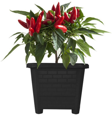 TrustBasket EarthBox Planter Black 10 inch (Set of 6) Plant Container Set(Pack of 6, Plastic)