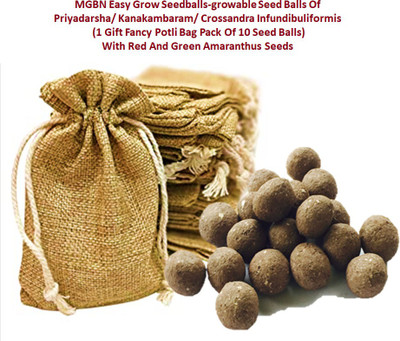 MGBN MGBN EASY GROW SEEDBALLS-GROWABLE SEED BALLS OF PRIYADARSHA/KANAKAMBARAM/CROSSANDRA INFUNDIBULIFORMIS (1 GIFT JUTE BAG PACK OF 10 SEED BALLS) WITH RED AND GREEN AMARANTHUS SEEDS Seed(10 per packet) MGBN MGBN EASY GROW SEEDBALLS-GROWABLE SEED BALLS OF PRIYADARSHA/KANAKAMBARAM/CROSSANDRA INFUNDIBULIFORMIS (1 GIFT JUTE BAG PACK OF 10 SEED BALLS) WITH RED AND GREEN AMARANTHUS SEEDS Seed(10 per packet)