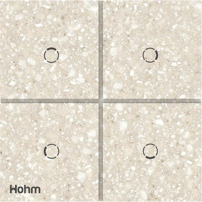 polycab Hohm Vivere 2 Module WiFi Smart Integrated Savannah Corean Scene Control Switch (4 Scene control), Works with Alexa, Hohm Mobile App, IR…