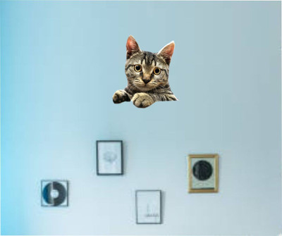 Varadvinayak 45 cm Cat Self Adhesive Sticker(Pack of 1)