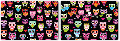 Nourish Plastic Document Folder(Set Of 2, Owls-on-Black-Background)