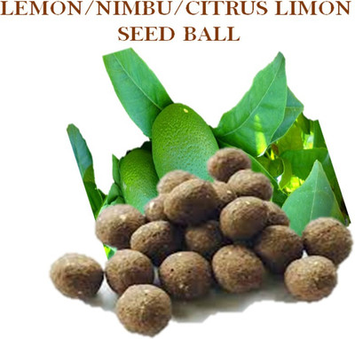 MGBN MGBN EASY GROW SEEDBALLS-GROWABLE SEED BALLS OF LEMON/NIMBU/CITRUS LIMON (1 GIFT BOX PACK OF 10 SEED BALLS) WITH RED AND GREEN AMARANTHUS SEEDS Seed(10 per packet)