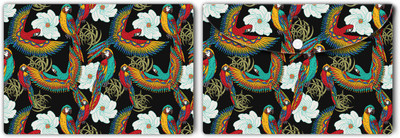 Nourish Plastic Document Folder(Set Of 2, Parrots-on-Black)